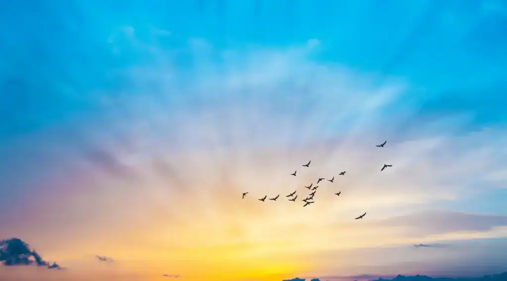 A flock of birds flying at sunrise with a colorful sky, symbolizing hope and renewal in addiction treatment.